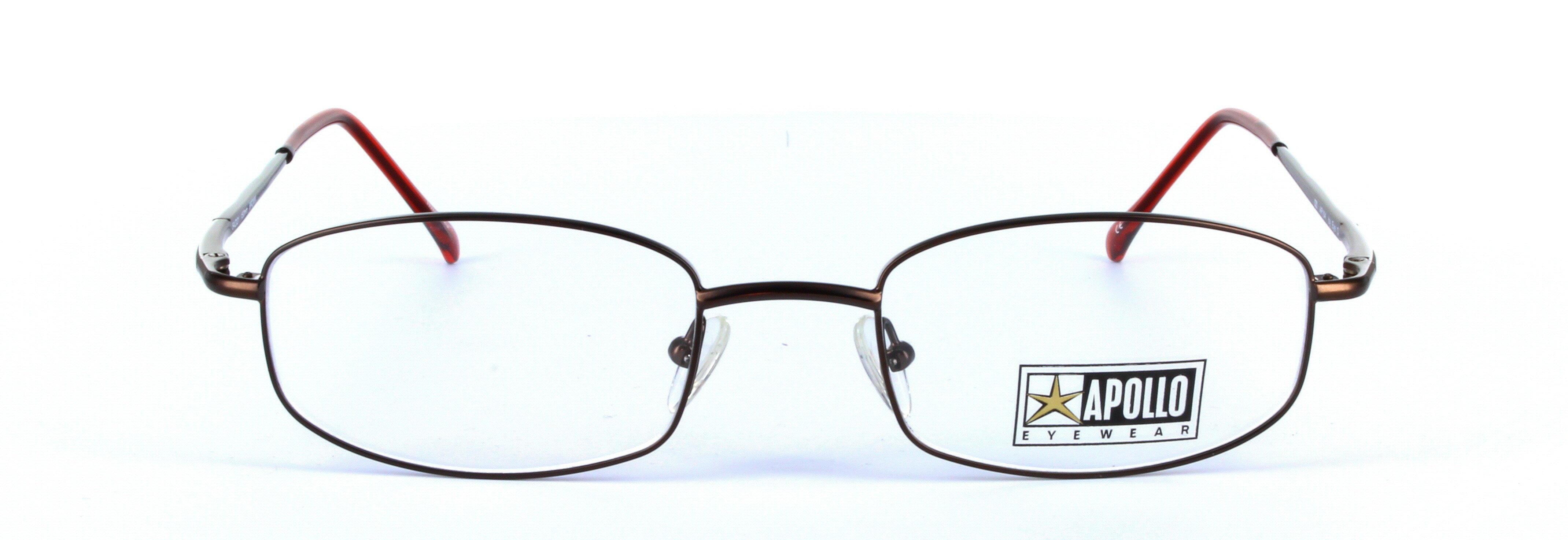 Barbera Brown Full Rim Oval Plastic Glasses  - Image View 4