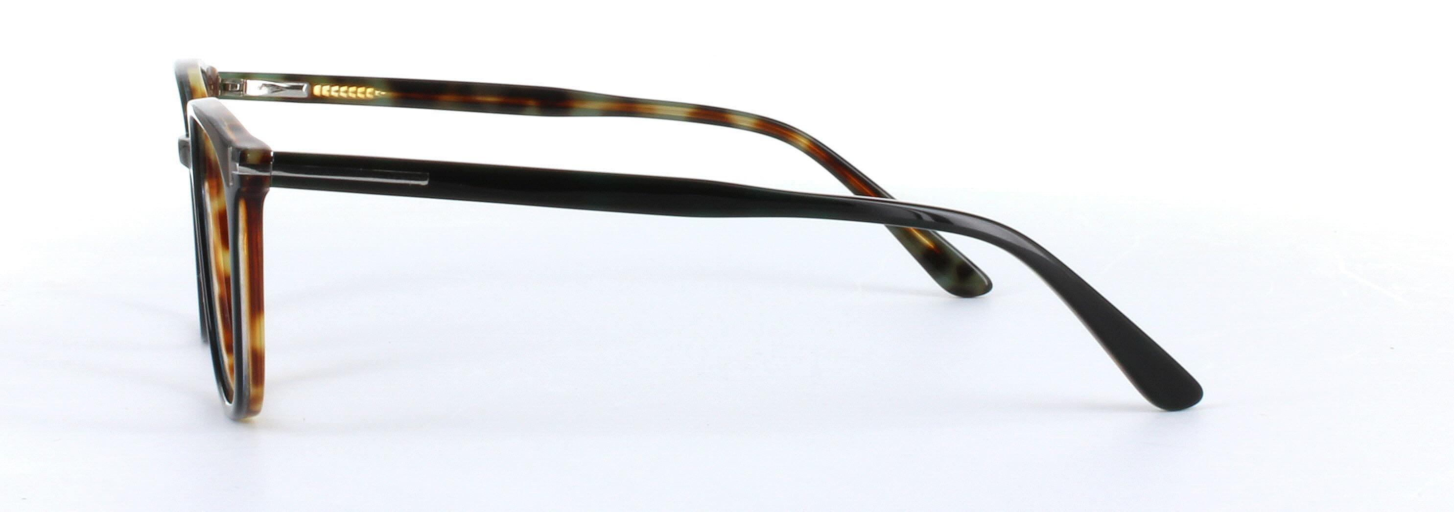 Hazar Dark Brown Full Rim Oval Acetate Glasses - Image View 2