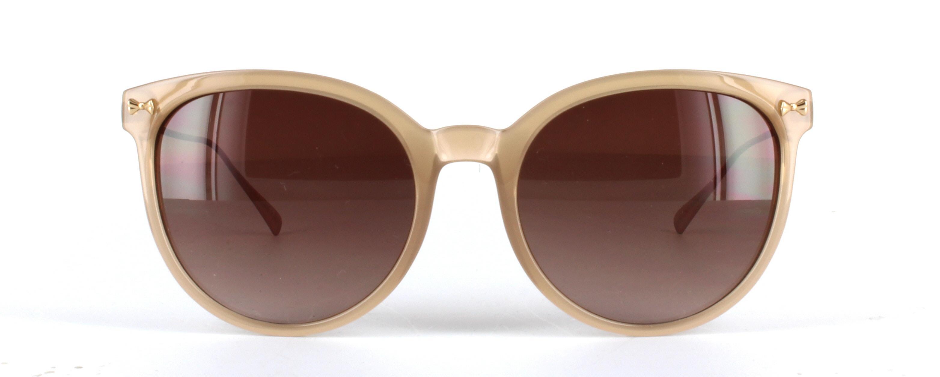 Ted Baker Maren Light Brown Full Rim Plastic Prescription Sunglasses - Image View 5