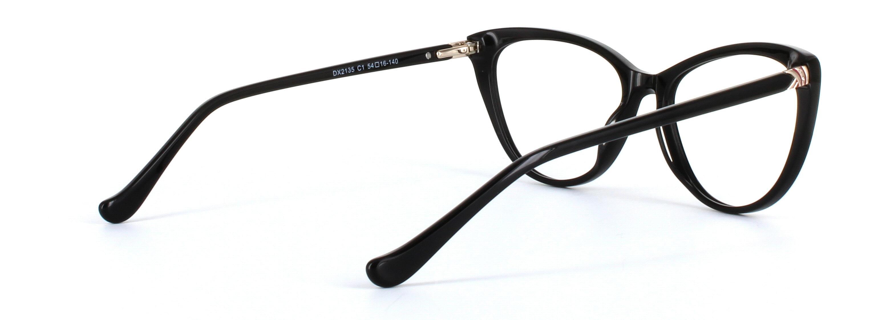 Lydia Black Full Rim Cat Eye Acetate Glasses - Image View 4