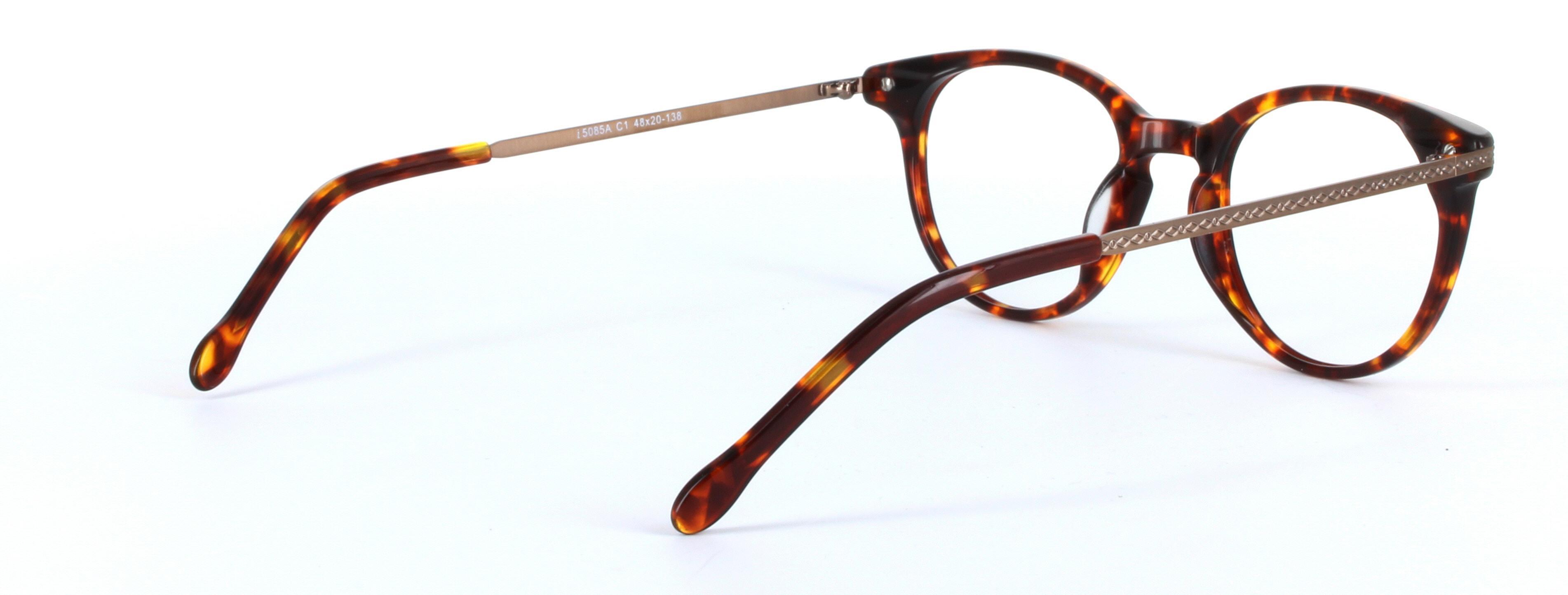 Amanda Tortoise Full Rim Round Plastic Glasses - Image View 4