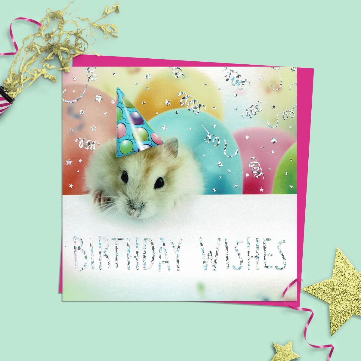 Hamster Themed Birthday Card Alongside Its Magenta Envelope
