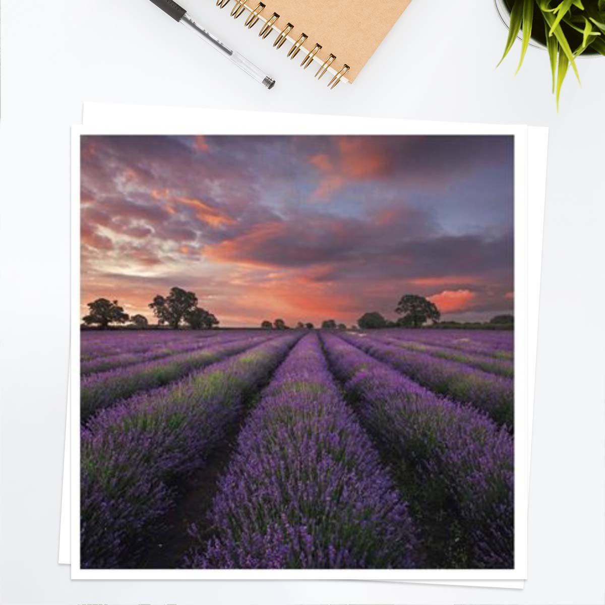 Take A View - Lavender At Faulkland Blank Card front Image