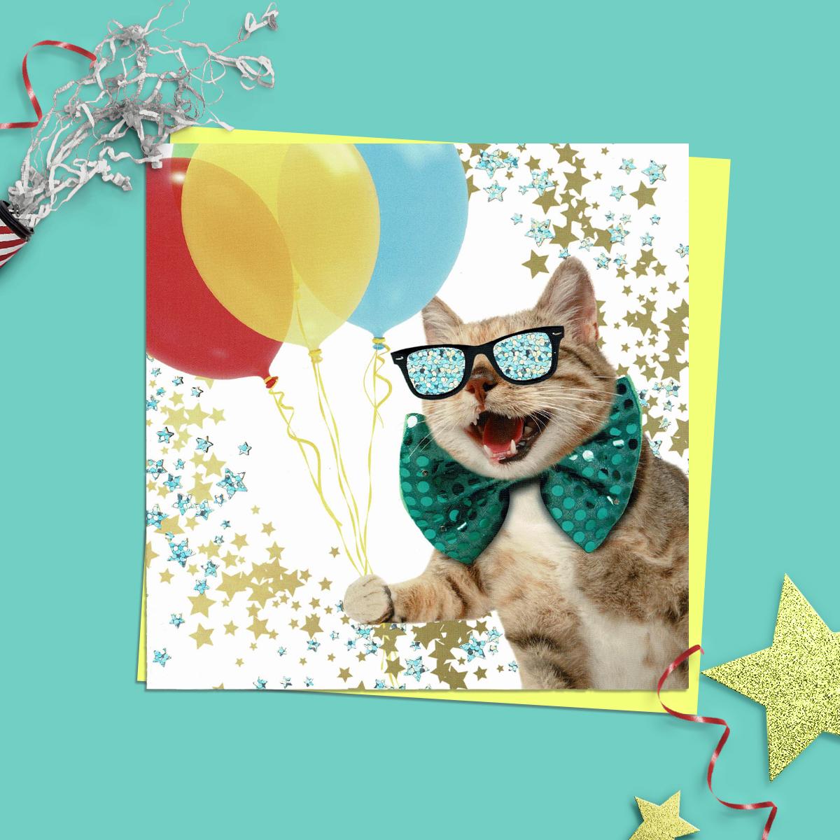 Party Cat Quirky Birthday Card Alongside Its Yellow Envelope