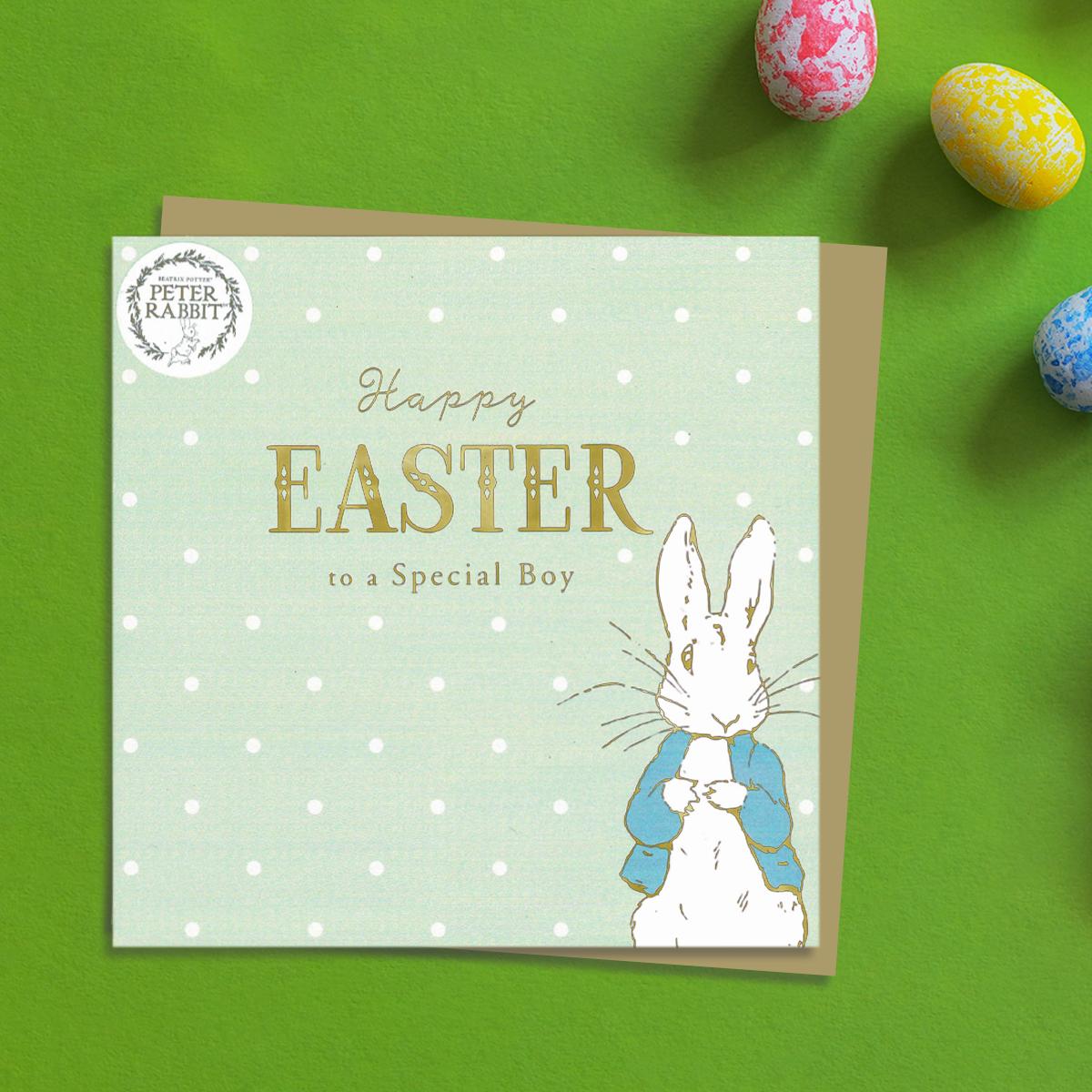 ' Happy Easter To A Special Boy' From Beatrix Potter Showing Peter Rabbit. Complete With Brown Envelope