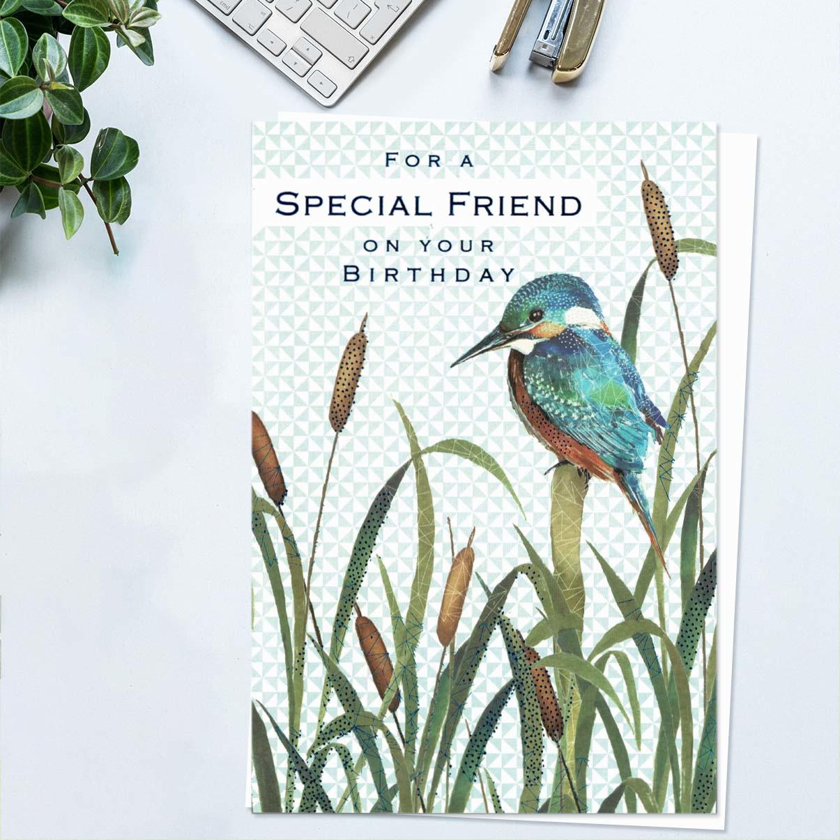 Special Friend Birthday Kingfisher Card Front Image