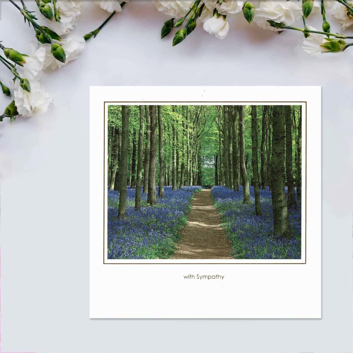 Photographic -With Sympathy Bluebell Woods Card Front Image