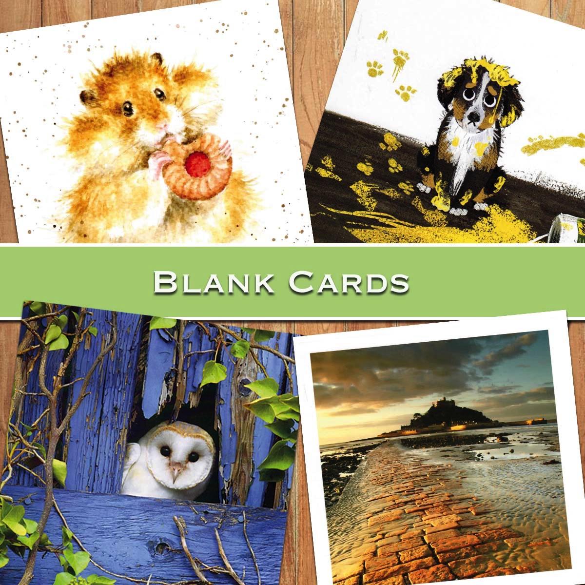 A Mixed Selection Of Cards To Show The Depth Of Range In Our Blank Cards Section