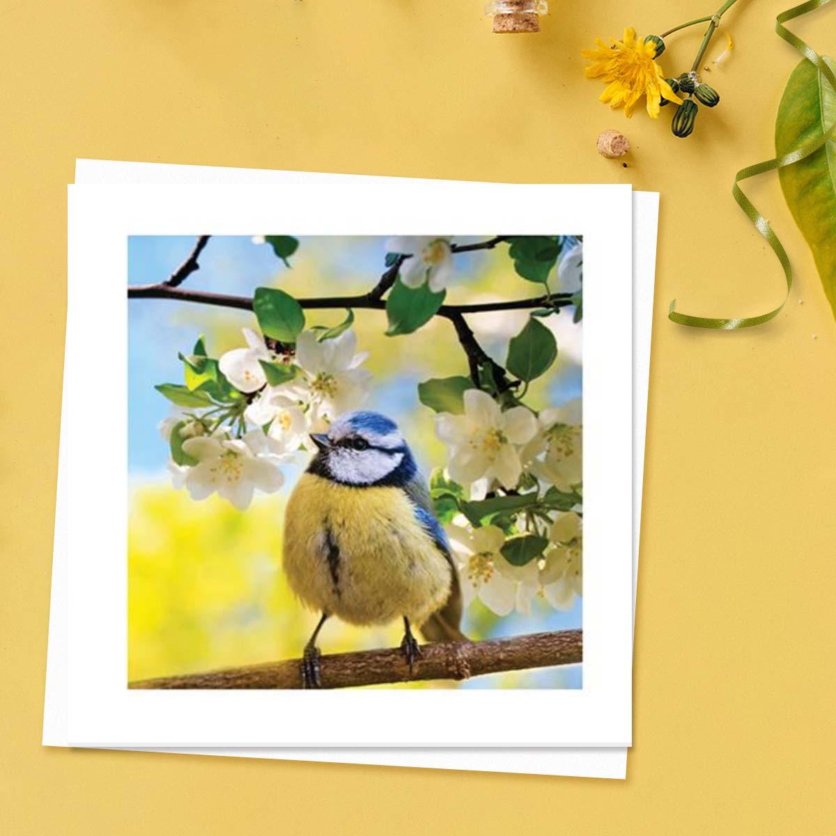 Beautiful - Bird In Flowering Apple Tree Blank Card Front Image