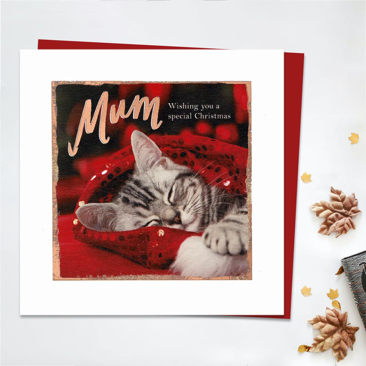 Mum Christmas Kitten Card Front Image