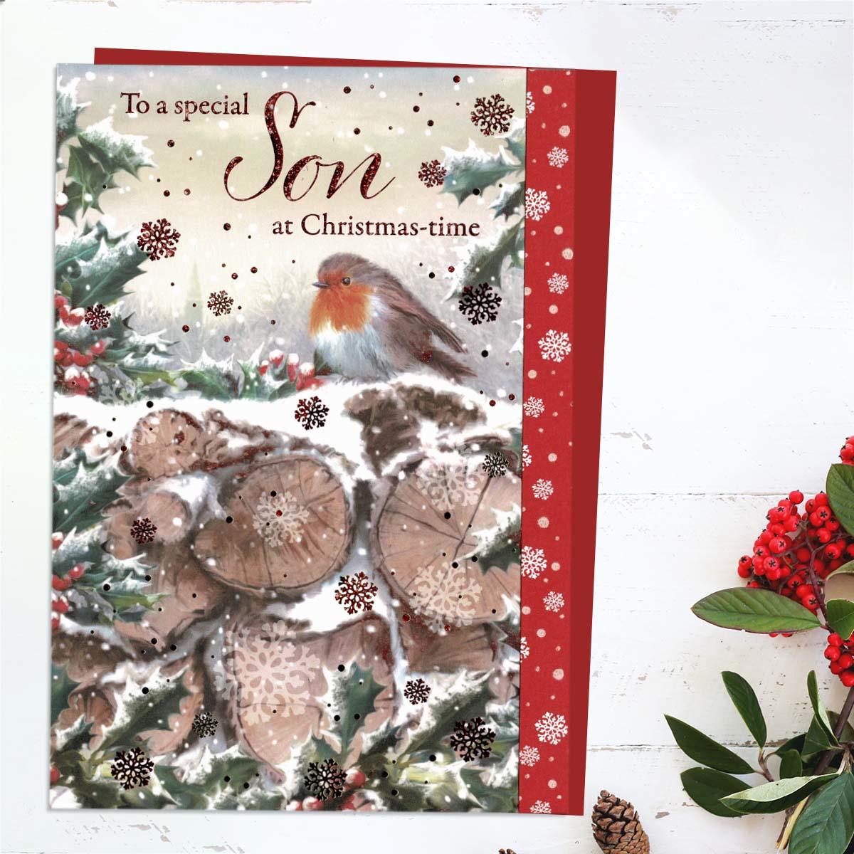 Special Son Christmas Robin Card Front Image
