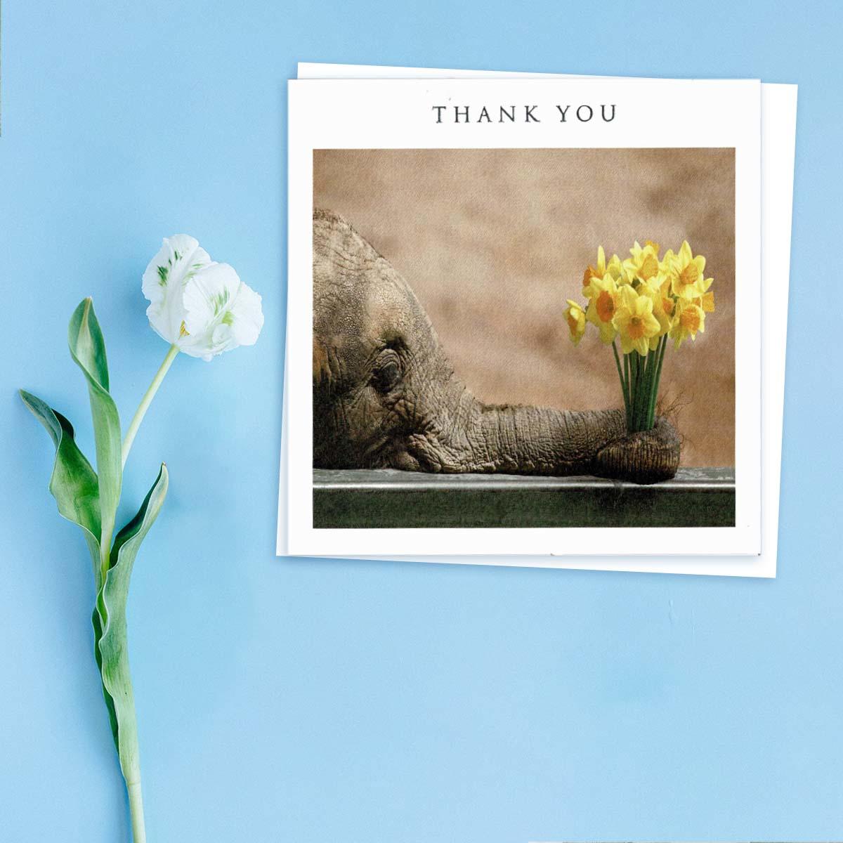Pack Of 5 Thank You Cards - Elephant With Daffodils Front Image