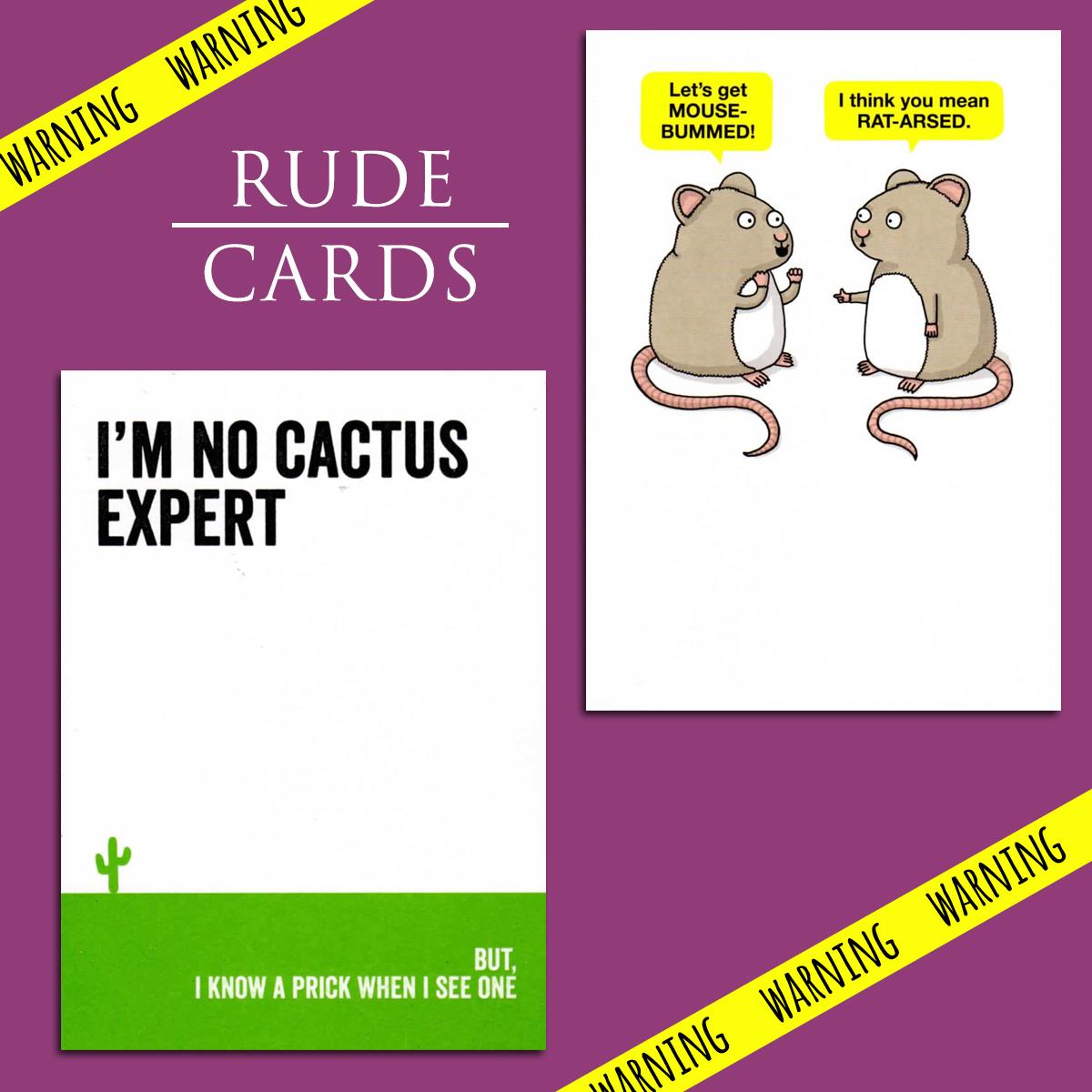 A Selection Of Cards To Show The Depth Of Range In Our Rude Cards Section