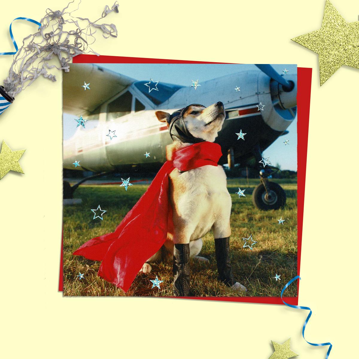 Pilot Dog Birthday Card Alongside Its Red Envelope