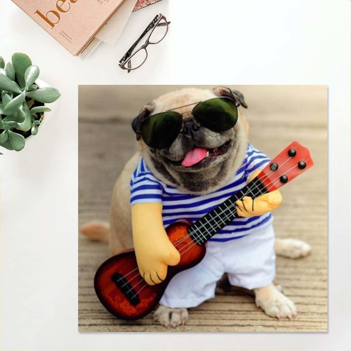 Camden Photographic - Pug Dude Blank Card Front Image