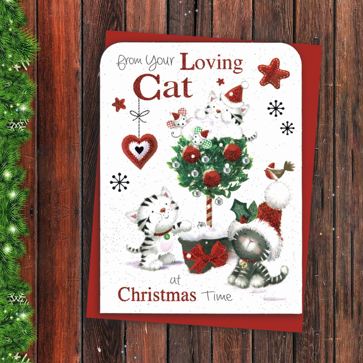 From The Cat Christmas Card Alongside Its Red Envelope