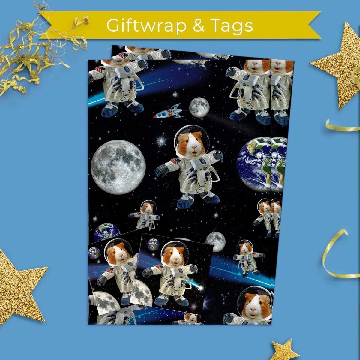 Giftwrap - Guineapig Spaceman Card Front Image
