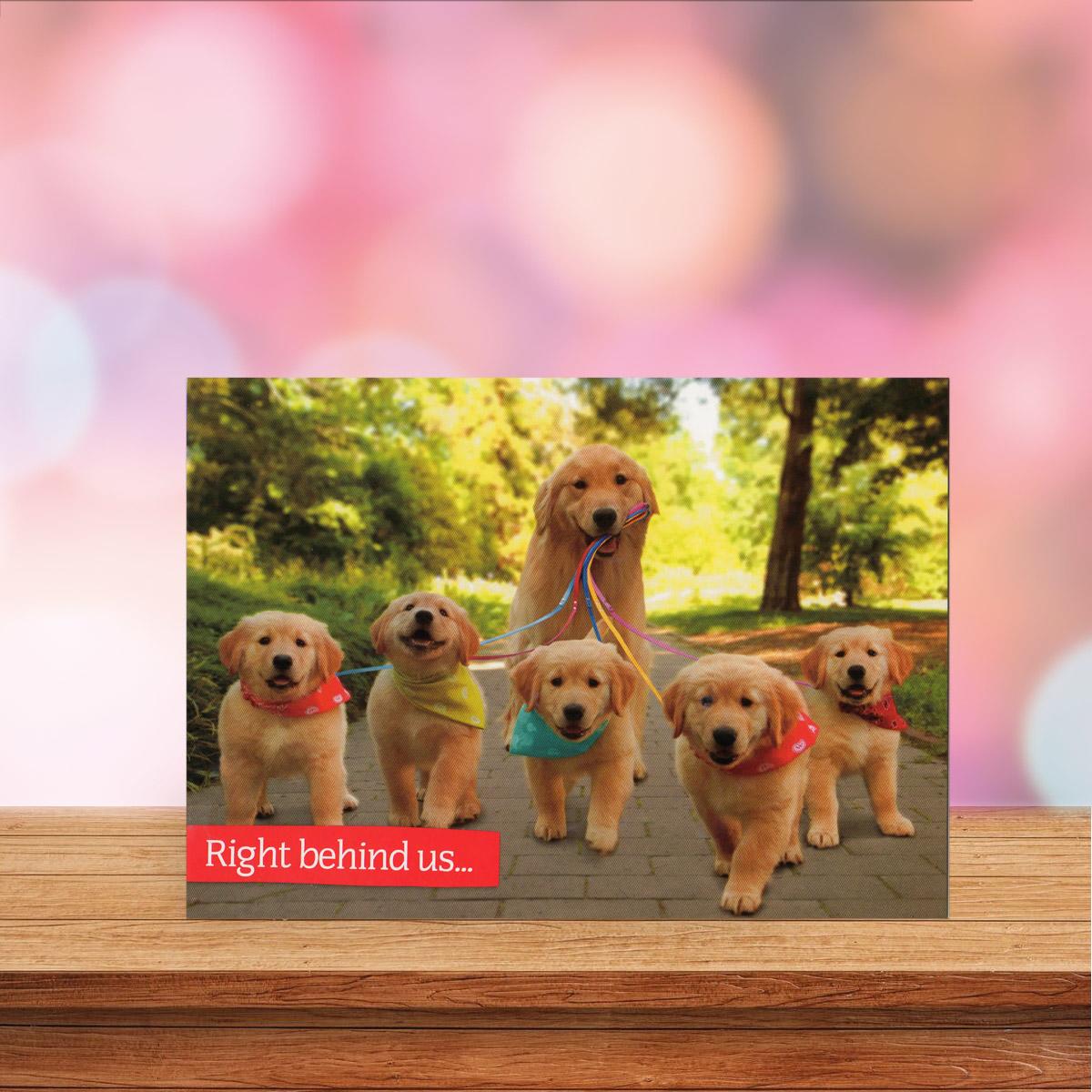 Golden Retrievers Mothers Day Card Sitting On A Display Shelf