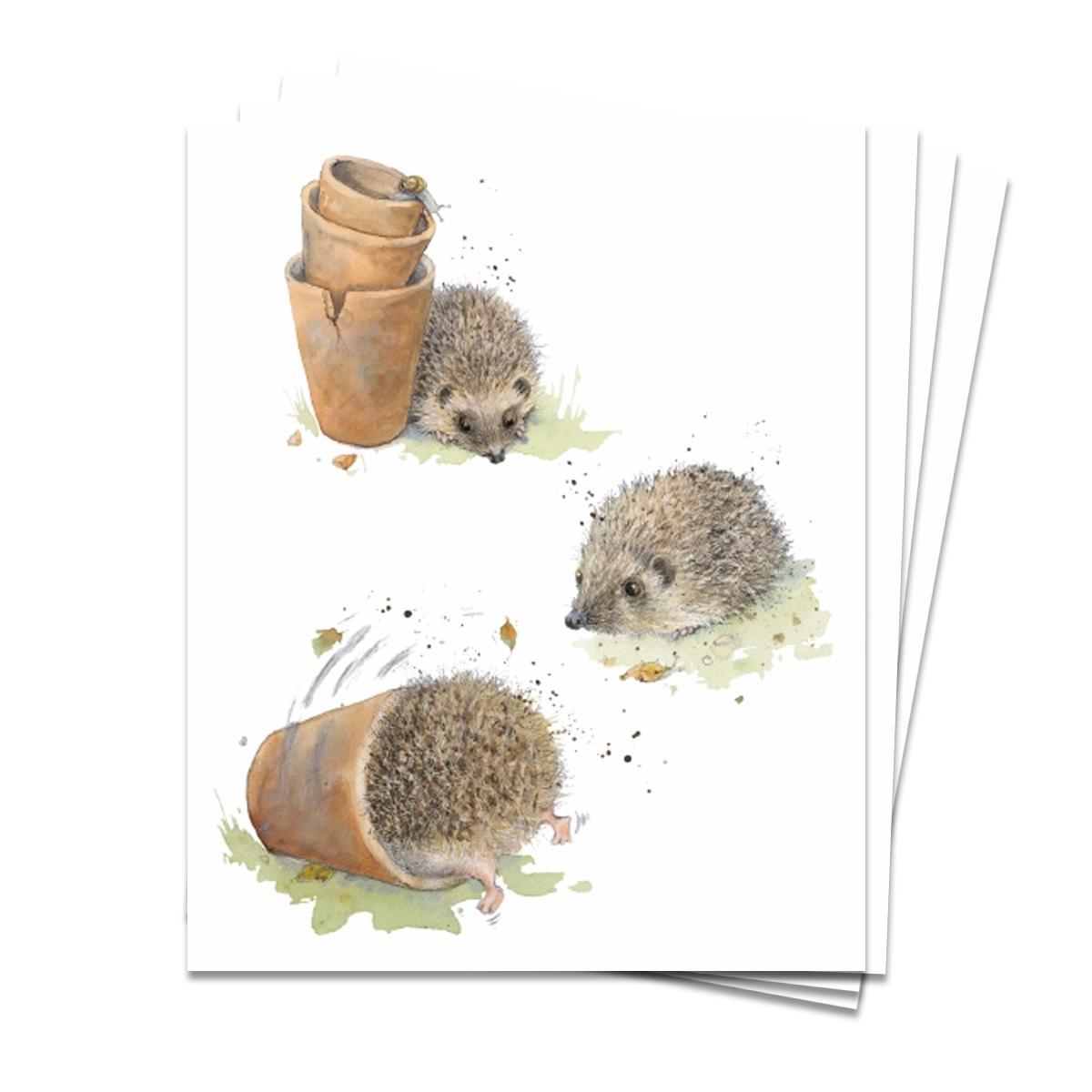 Hedgehog Themed Pack Of 4 Notelets Displayed
