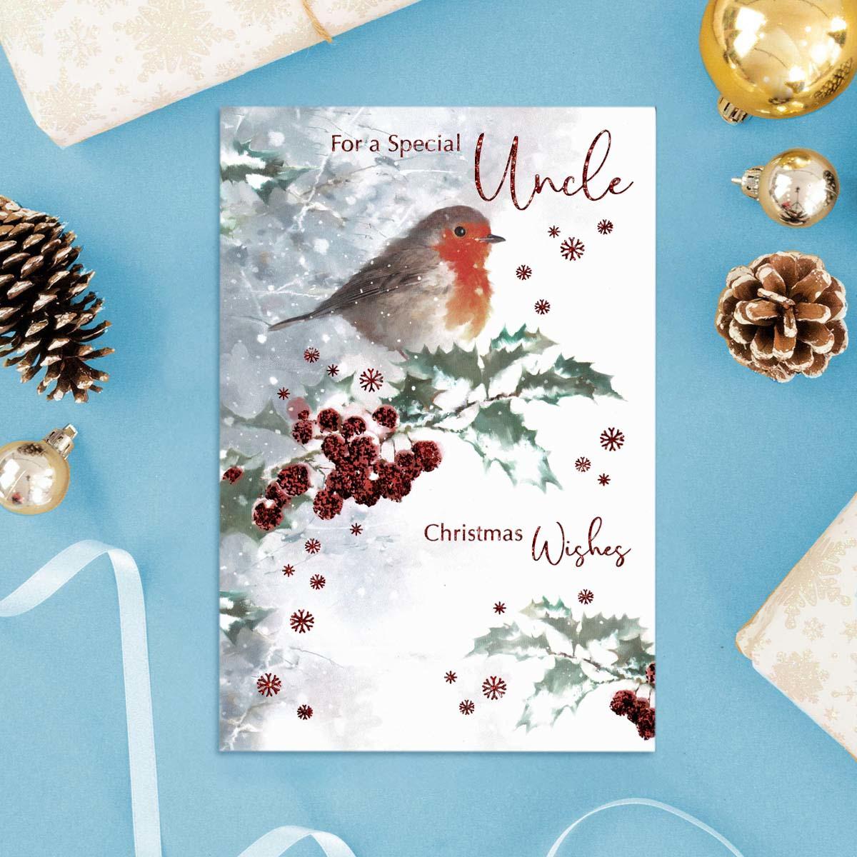 Special Uncle Christmas Robin Card Front Image