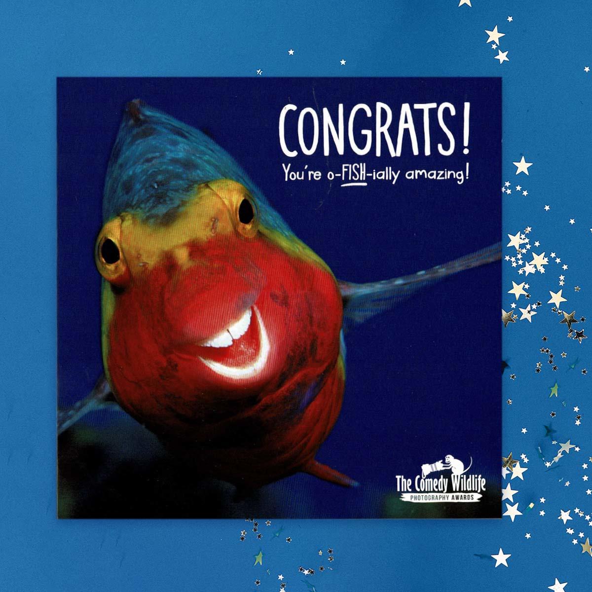 Congrats O-Fish-ially Amazing! Card Front Image