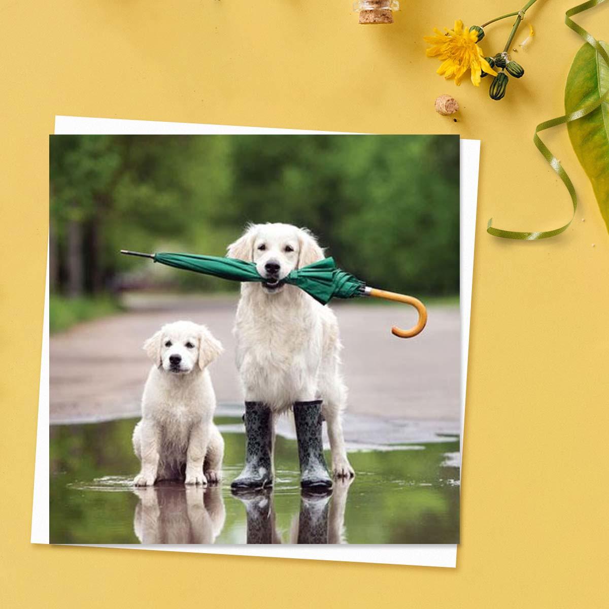 Beautiful Planet - Golden Retriever Dog and Puppy Blank Card Front Image