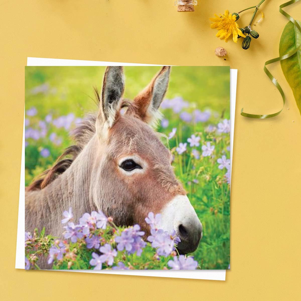 Beautiful - Donkey Amongst The Flowers Blank Card Front Image