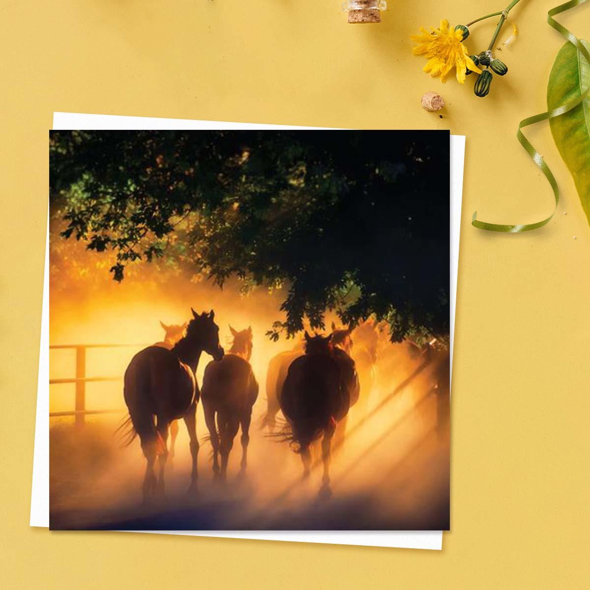 Beautiful - Back To The Pasture Blank Card Front Image
