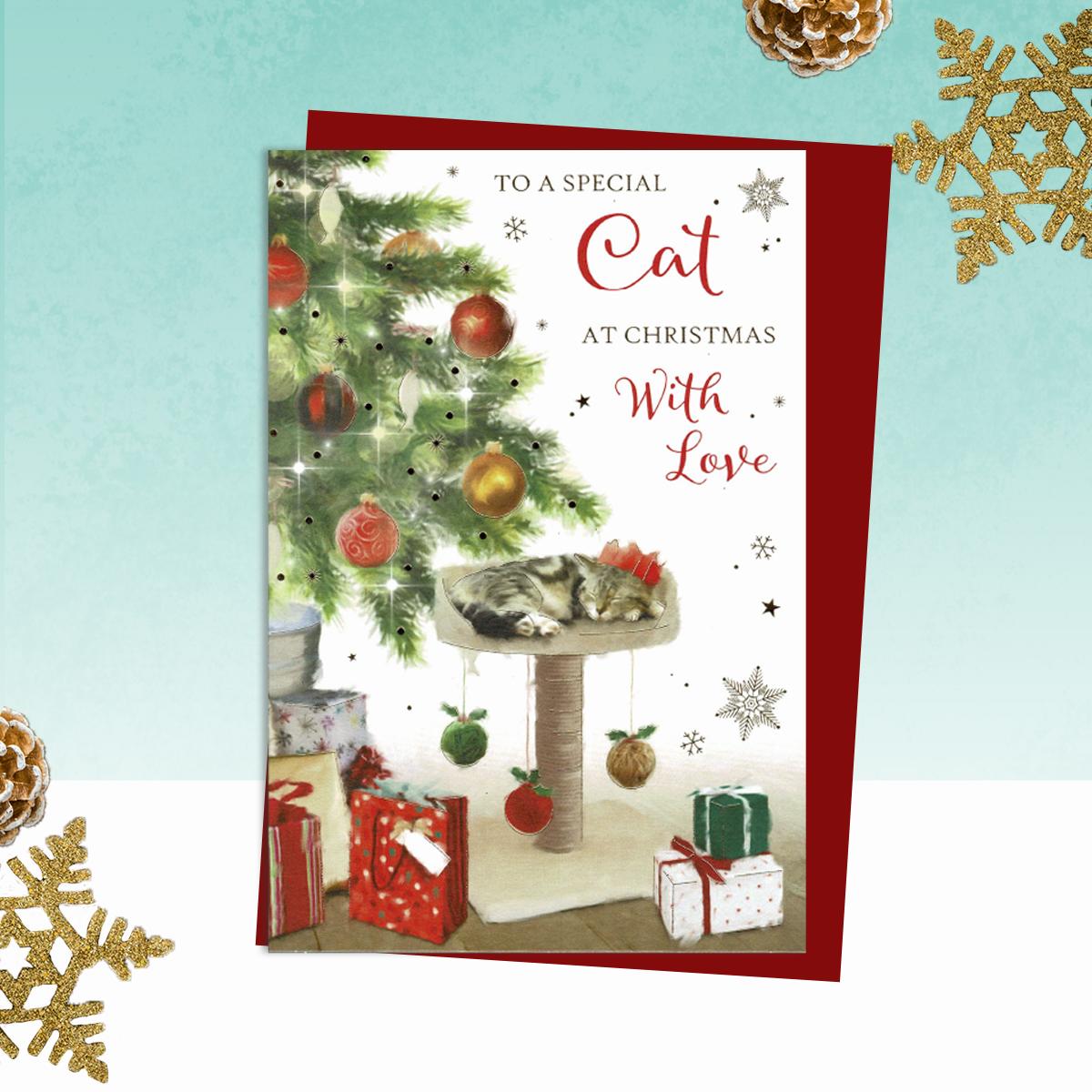 To A Special Cat Christmas Card Alongside Its Red Envelope