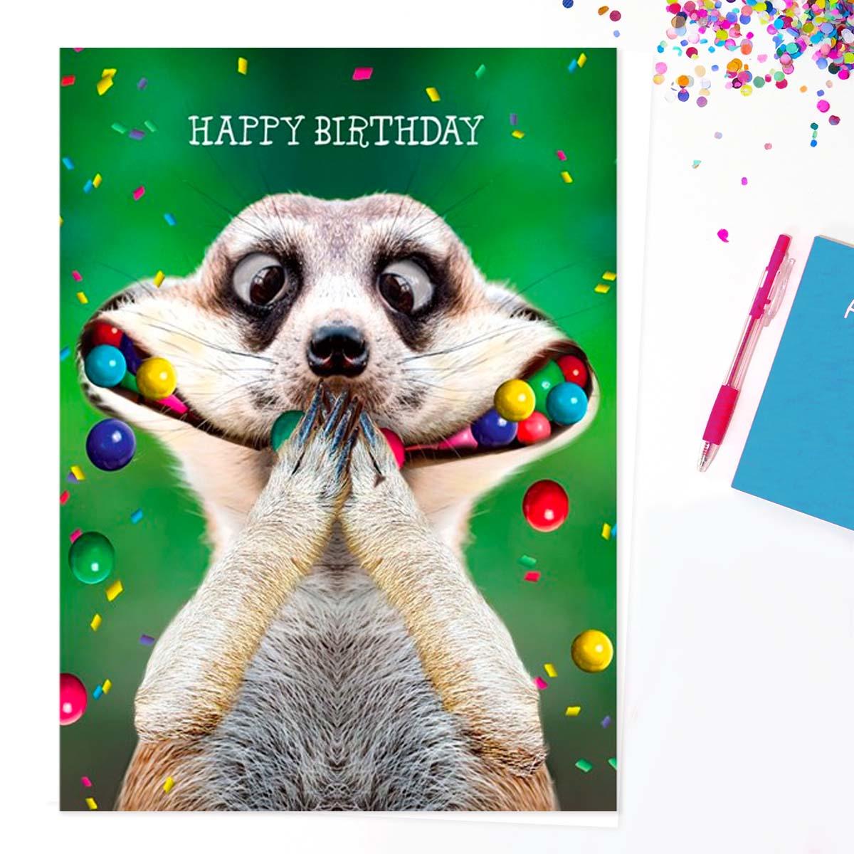 Fluff - Happy Birthday Meerkat Large Card Front Image
