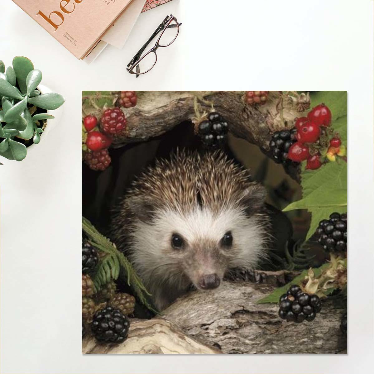 Hedgehog In Amongst The Berries Blank Card Alongside Its White Envelope