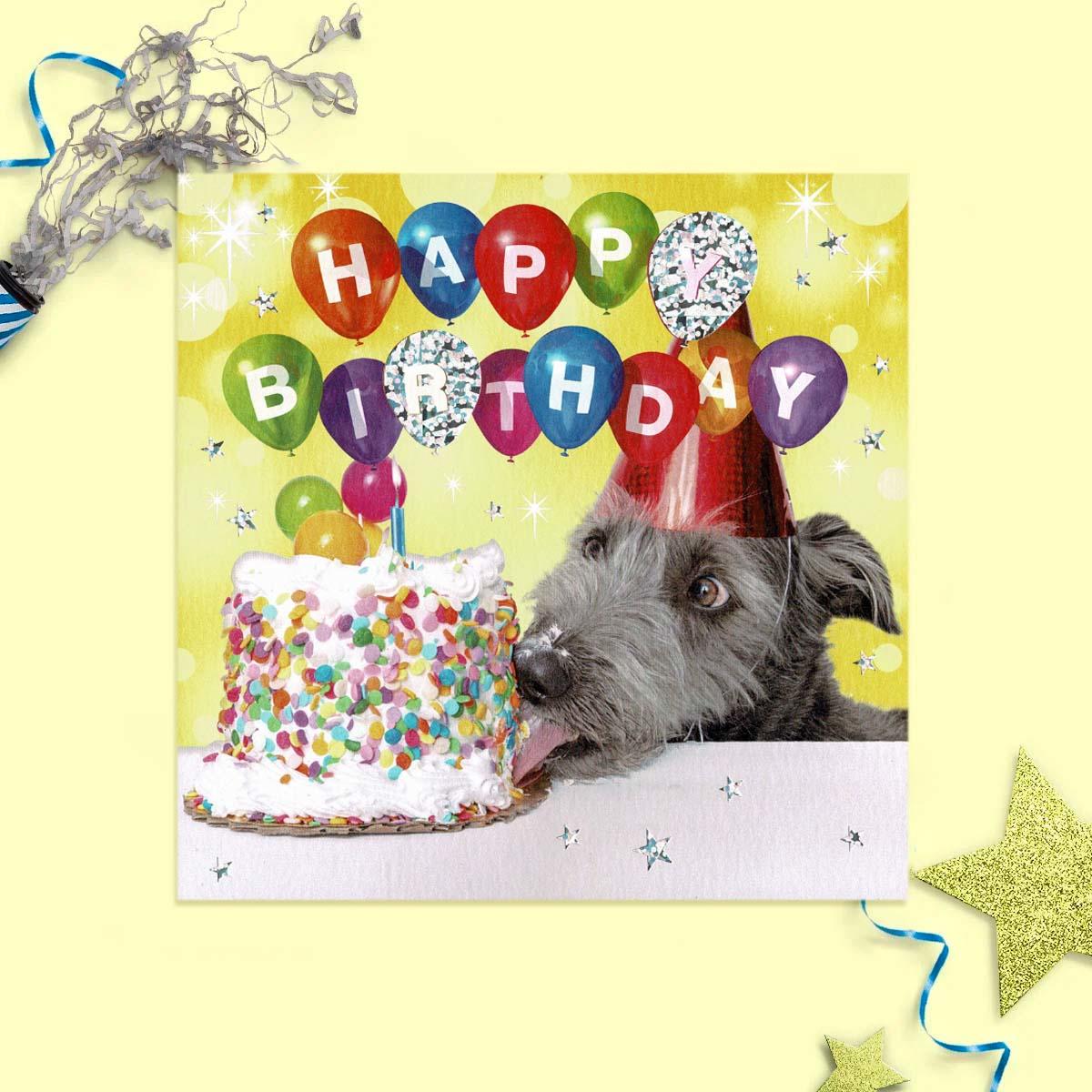 What A Picture - Birthday Dog Card Front Image