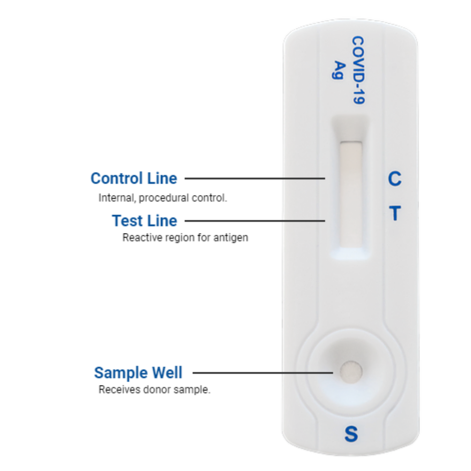 Rapid Antigen Covid-19 Test