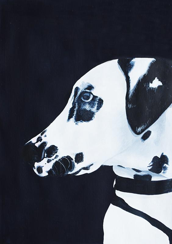 Gaston Dalmation Dog Portrait