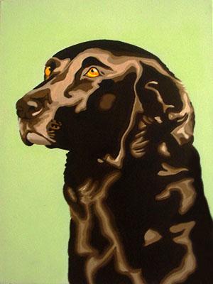 Coco Labrador Dog Portrait