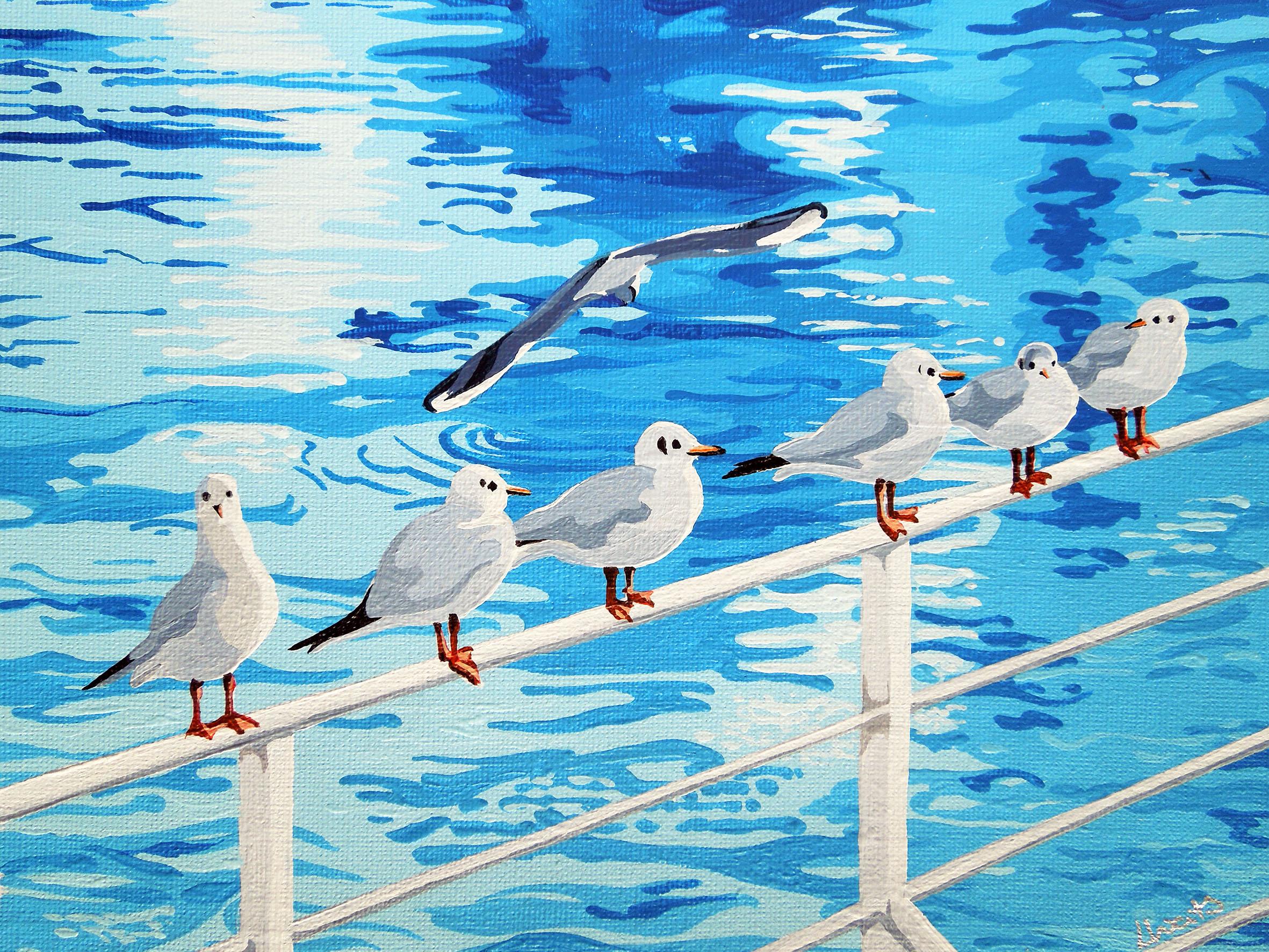 Seagull fine art print