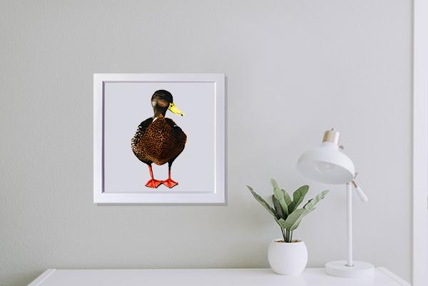 Print of a Mallard Duck painting in a living room