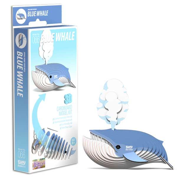 Blue whale model with box.