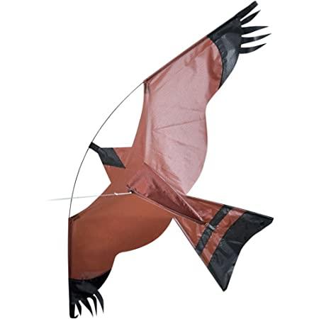 Bird-shaped brown, black and white kite.