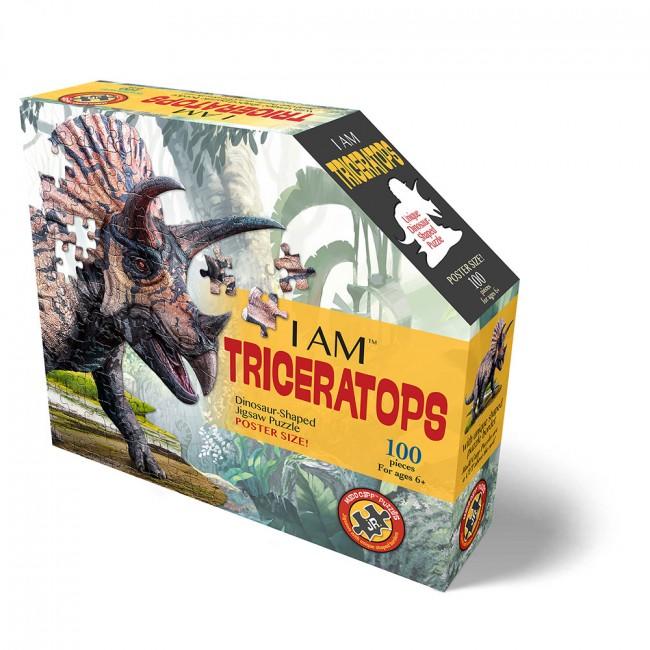 Box holding triceratops puzzle.