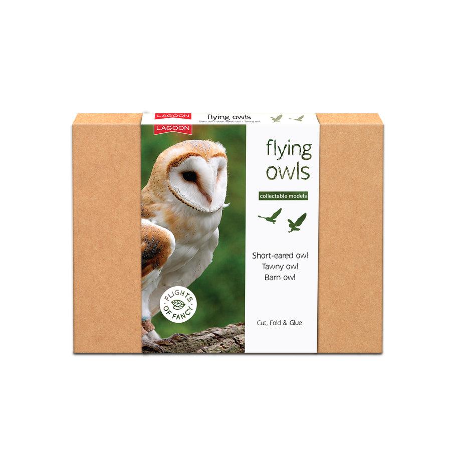 Box with an owl image. White background
