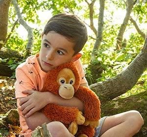 Boy in a pale orange t-shirt sitting in a wood cuddling a soft orange orangutan.