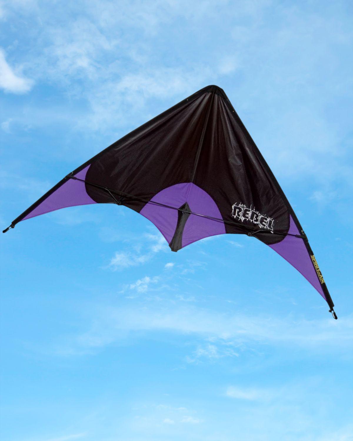 Black and purple sport kite. Blue sky background.