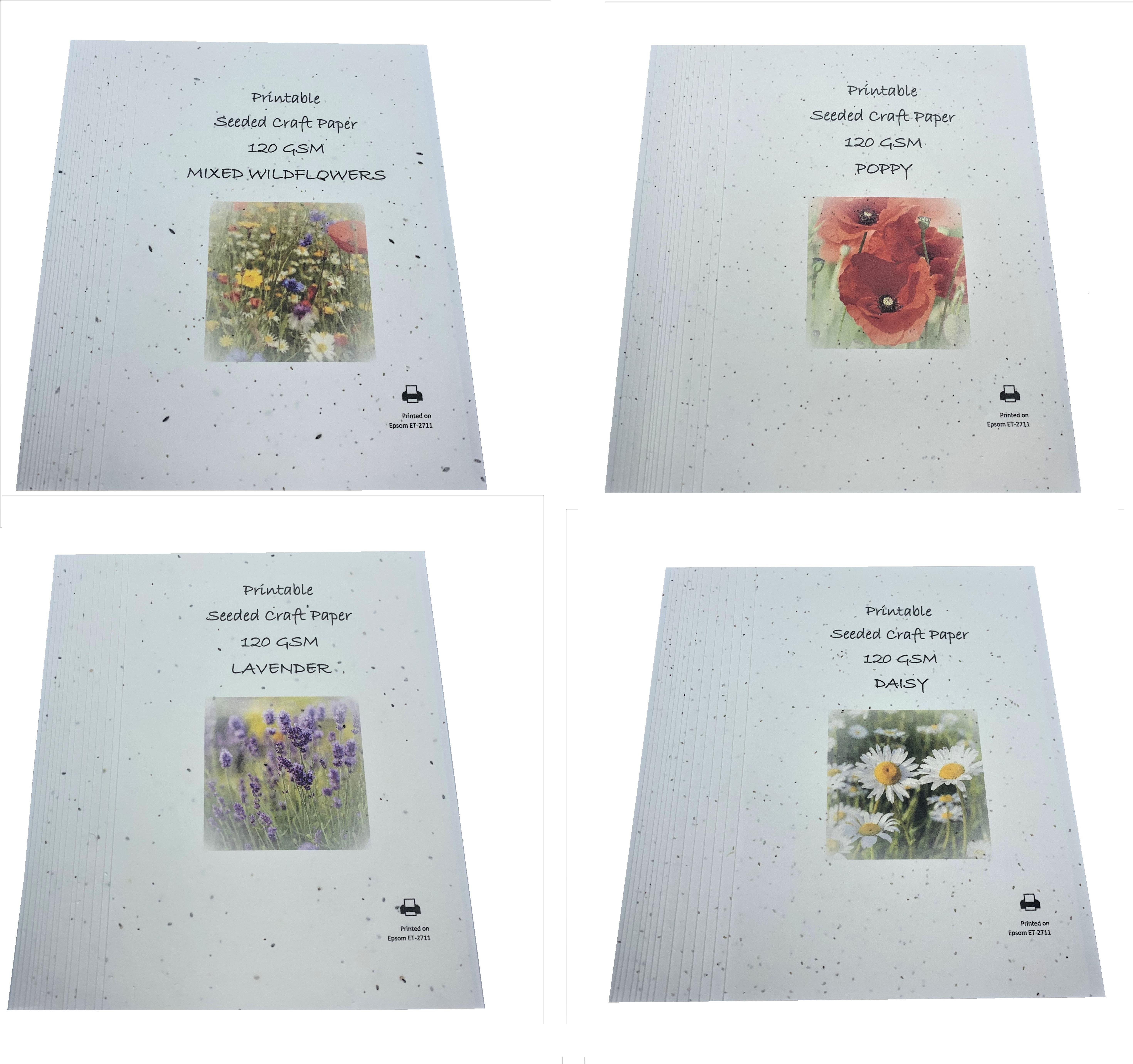 Seeded Light Card 200gsm - Meadow Mix x 10 A4 sheets