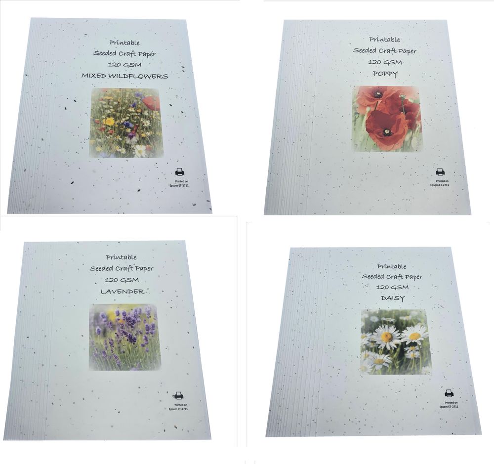A4 Seeded Printing Paper 120 GSM