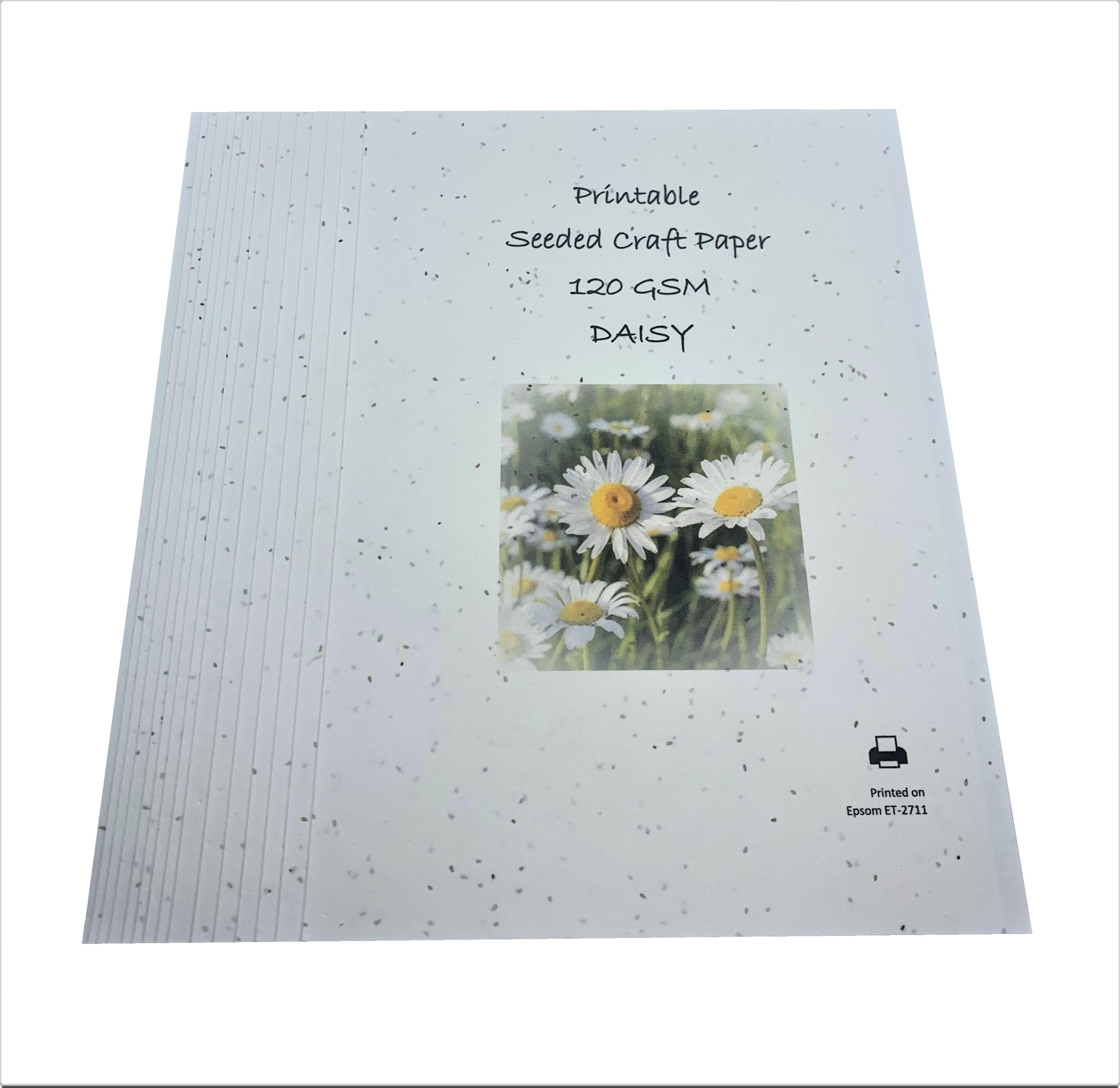 Seeded Light Card 200gsm - Meadow Mix x 10 A4 sheets
