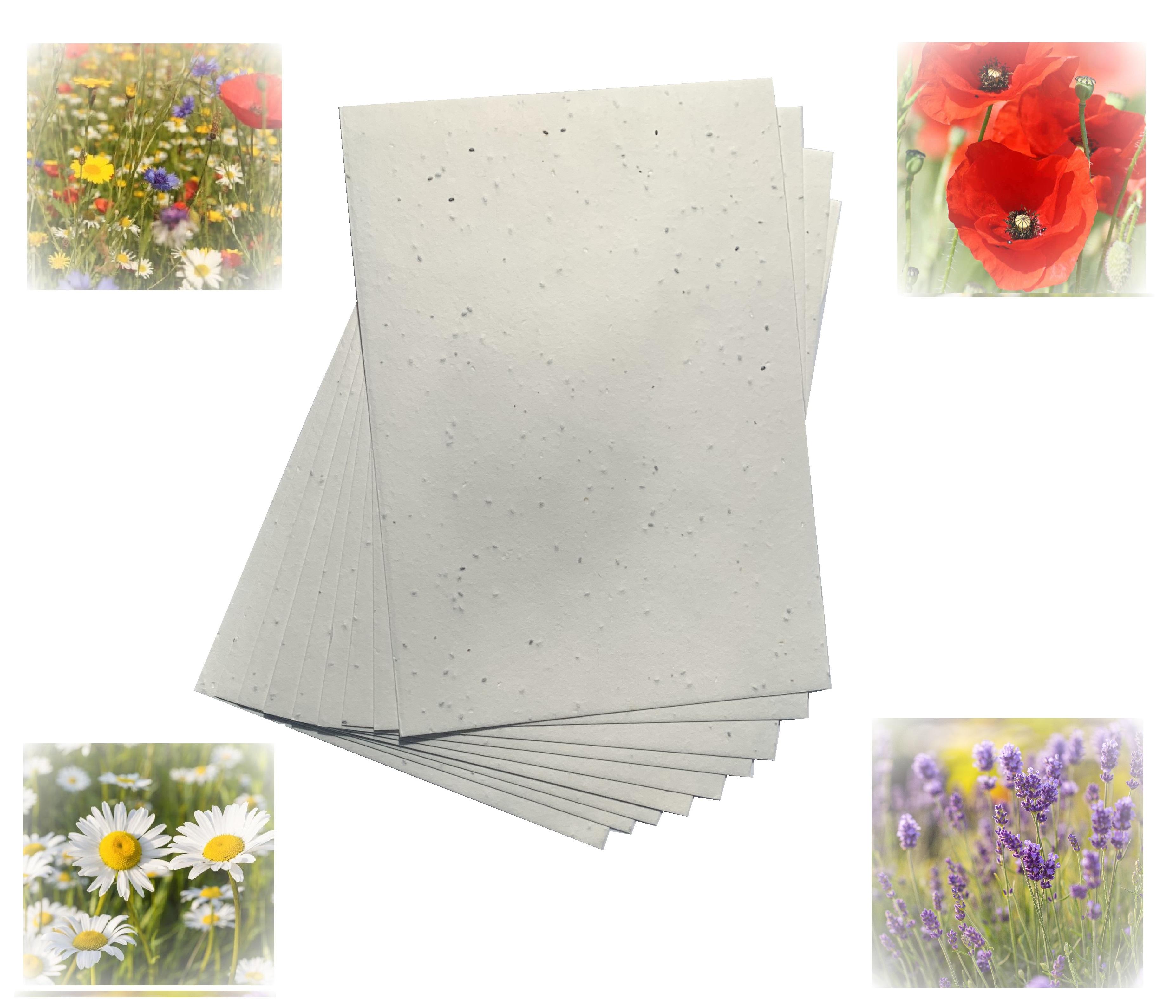 Seeded Light Card 200gsm - Meadow Mix x 10 A4 sheets
