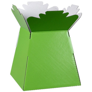 cardboard living vase florist box lime green