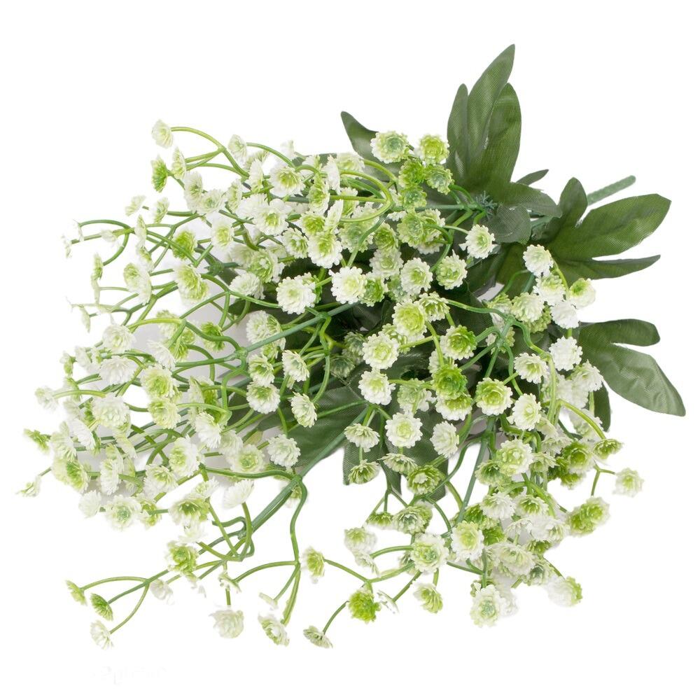 gypsophila flowers