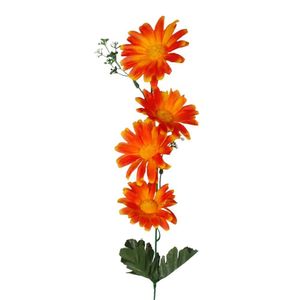 orange daisy flower stem
